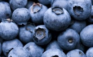 Blåbärssoppa recept